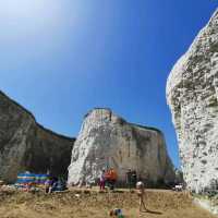 Botany Bay at Kent: A Glance at Nature's Wonders