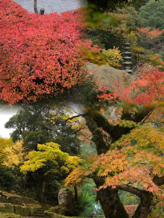 《小松&那谷寺：探秘日本隱世美景與溫泉之旅》