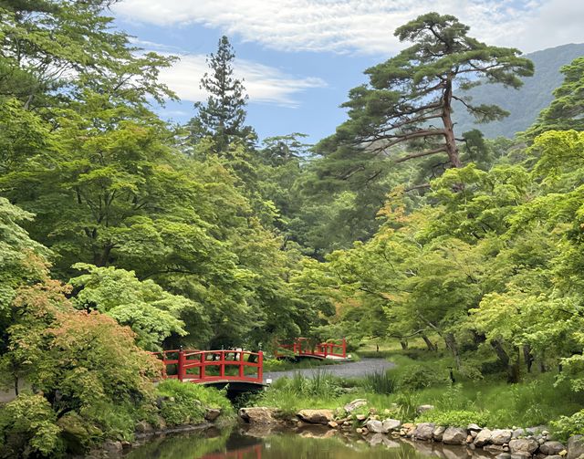 漫步新潟彌彦神社｜邂逅清新雅致的東瀛風情