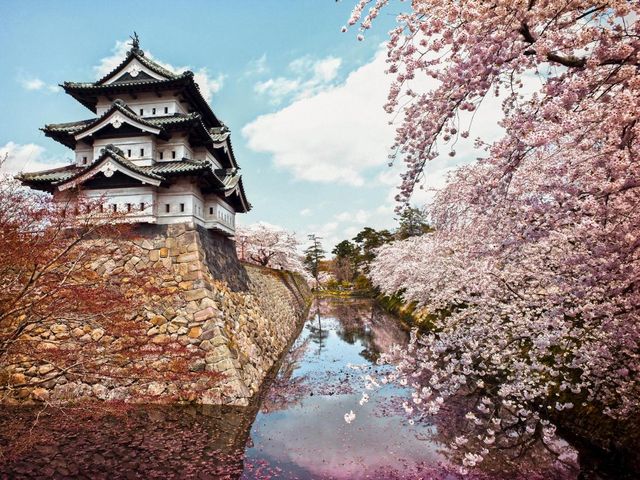 日本櫻花季必打卡景點大盤點！優缺點全解析