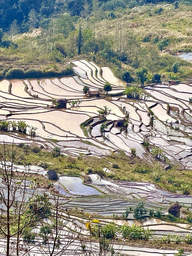昆明-撫仙湖-建水｜真溫泉之旅 治癒身心的秘境
