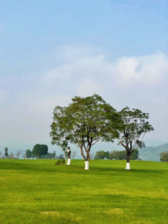 重慶春日踏青出遊好去處：廣陽島