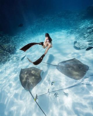 Fiji | Malolo Island Diving & Snorkeling Paradise