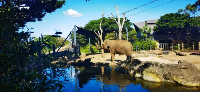 The most beautiful zoo