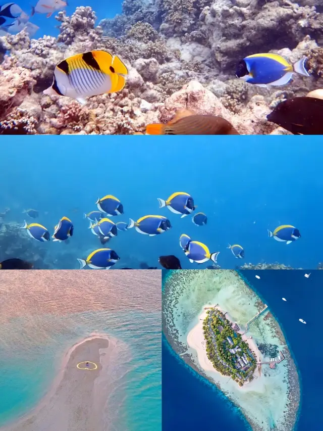 Male: A Dreamy Floating City in the Indian Ocean