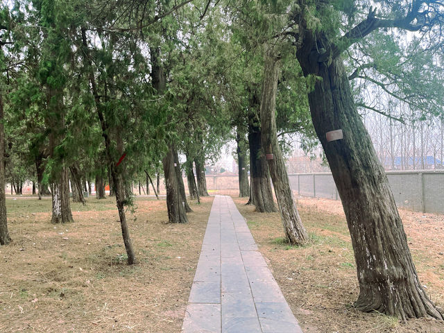 亳州魏堌堆一日遊 | 邂逅自然與歷史的完美旅程