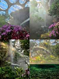 上海植物園，玻璃穹頂下的植物百科。