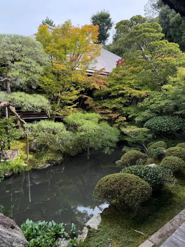 6天深度遊日本 超實用攻略來啦