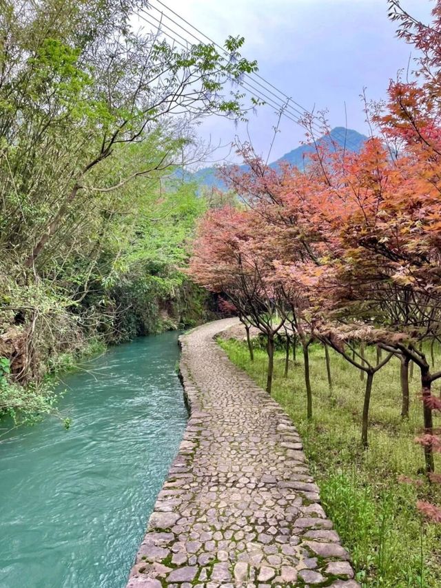 人少景美｜雨季一定要來走一趟馬嶺古道