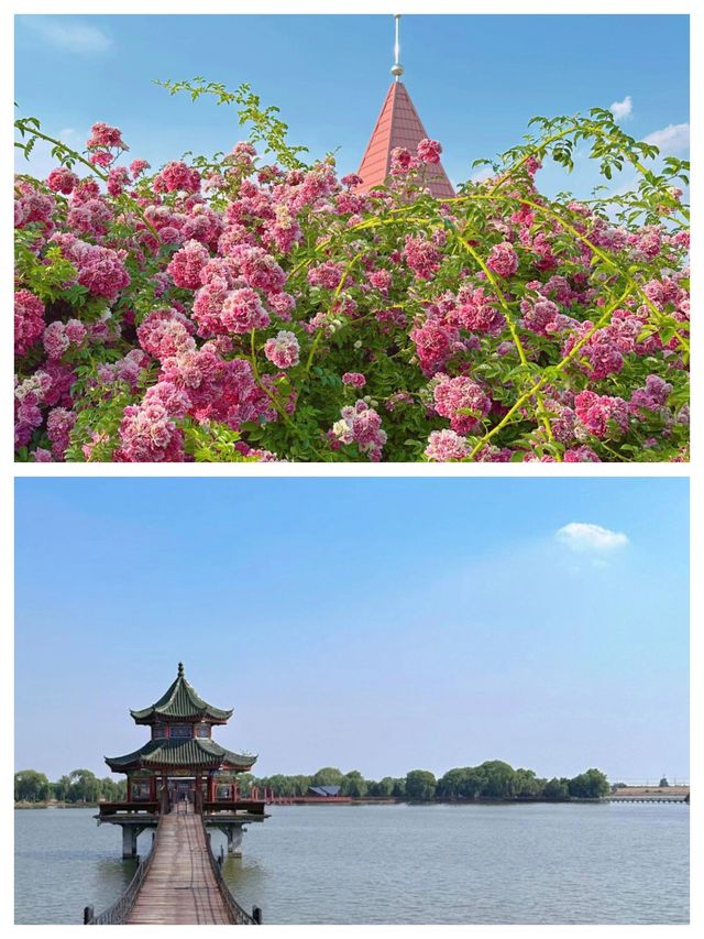 阜陽：皖北明珠
