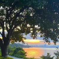 From Ducks to Sunsets: Exploring Shenzhen’s Stunning Parks