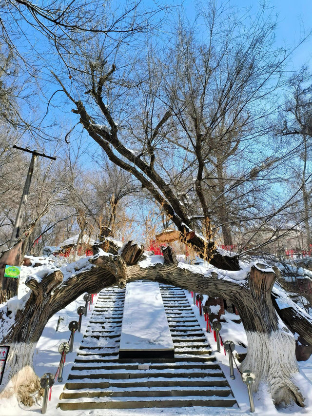 新疆冬日奇幻之旅：大巴扎與水磨溝的冰雪盛宴
