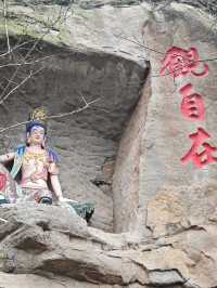 瀘州金龍寺：禪意間的心靈歸途