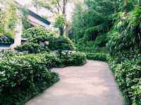 Roaming Chengdu: City Channels