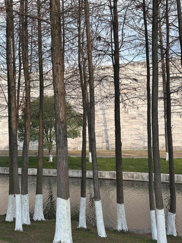 良渚博物院景色優美