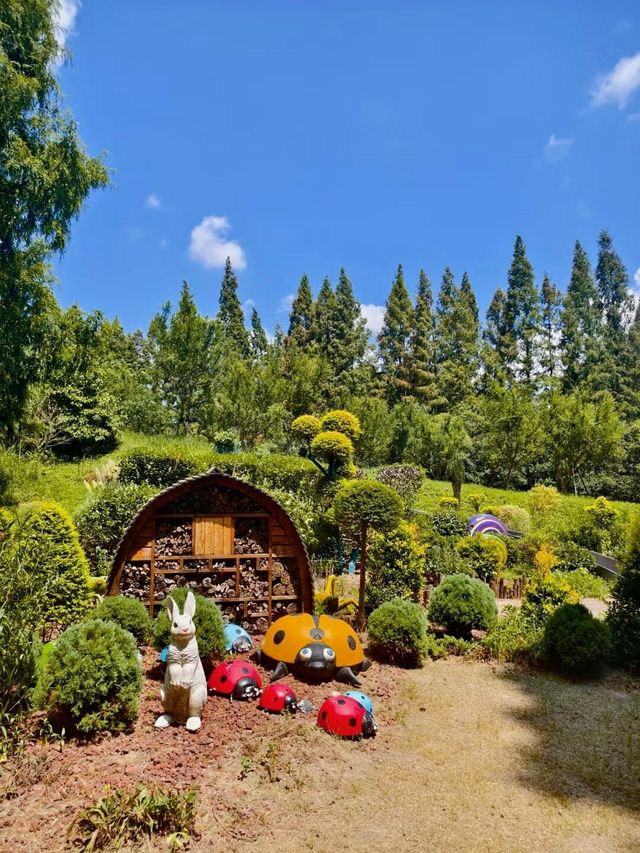 踏入這片綠色淨土，東平國家森林公園有多寶藏？