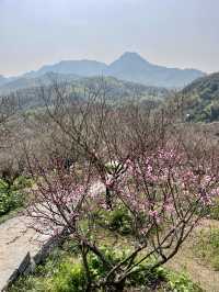 蕭紹古道