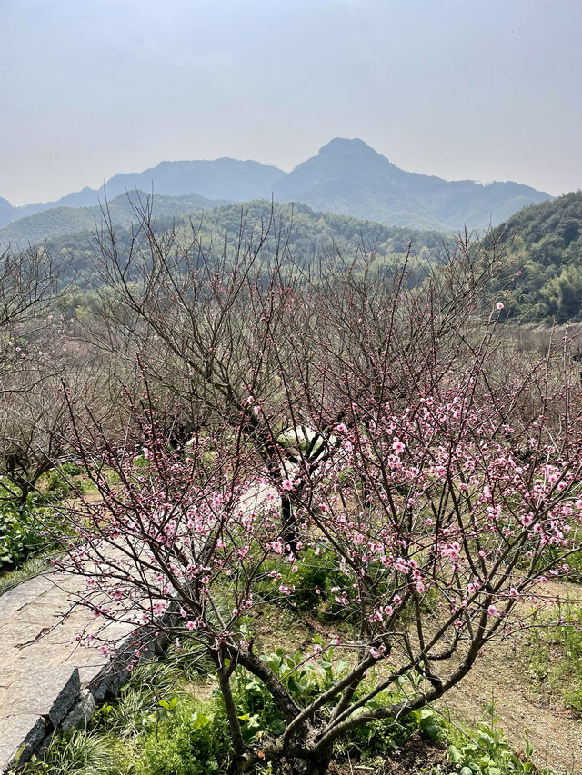 蕭紹古道