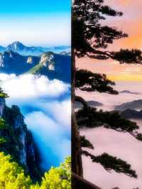 一生總要去一趟黃山吧，赴一場與山河的浪漫之約