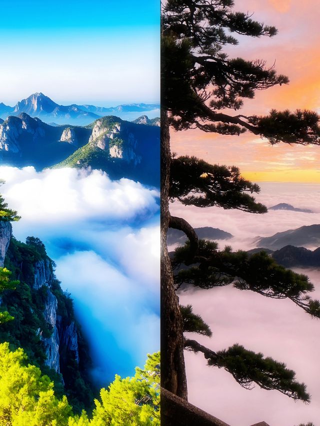 一生總要去一趟黃山吧，赴一場與山河的浪漫之約