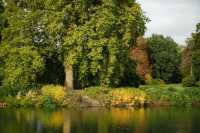 Explore Kew Gardens: A Journey into the Movies