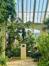 Kew Gardens' Water Lilies Are Blooming