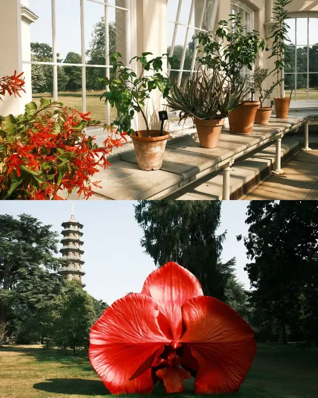 Explore Kew Gardens in London for a Relaxing Solo Adventure