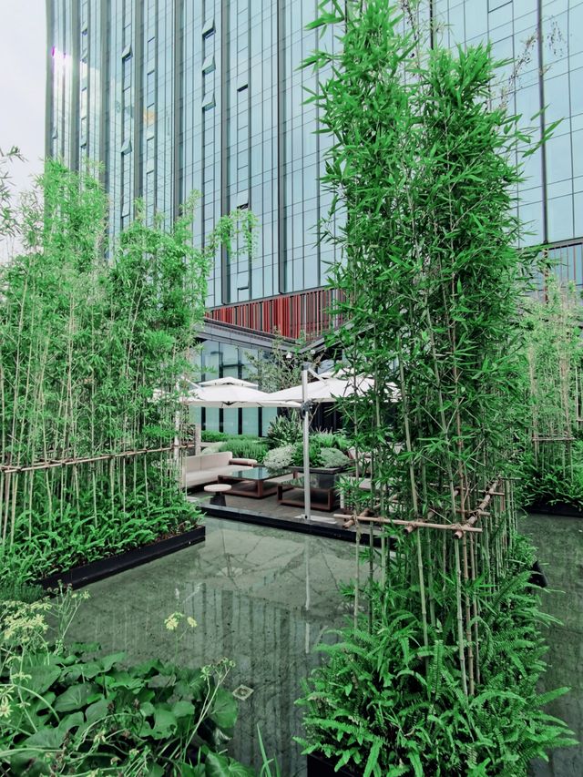 成都木棉花酒店 成都木棉花酒店