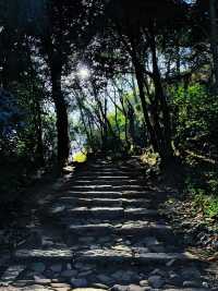 昆明周邊遊｜城市一角，妙高寺，春日賞花好去處～