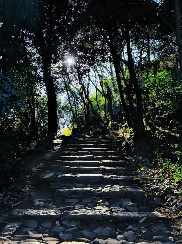 昆明周邊遊｜城市一角，妙高寺，春日賞花好去處～