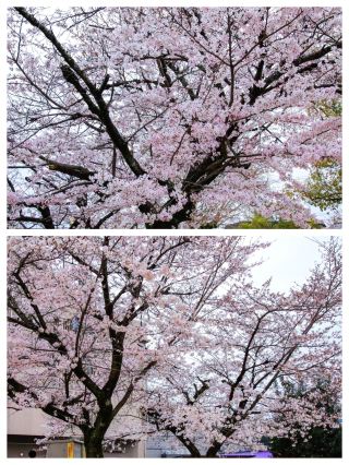 Yokkaichi, Japan | A City Where Time Folds