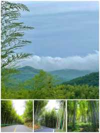 咸寧星星竹海風景區