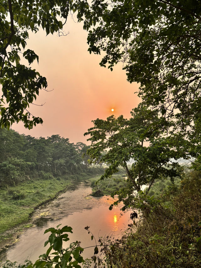 Walking in the jungle!