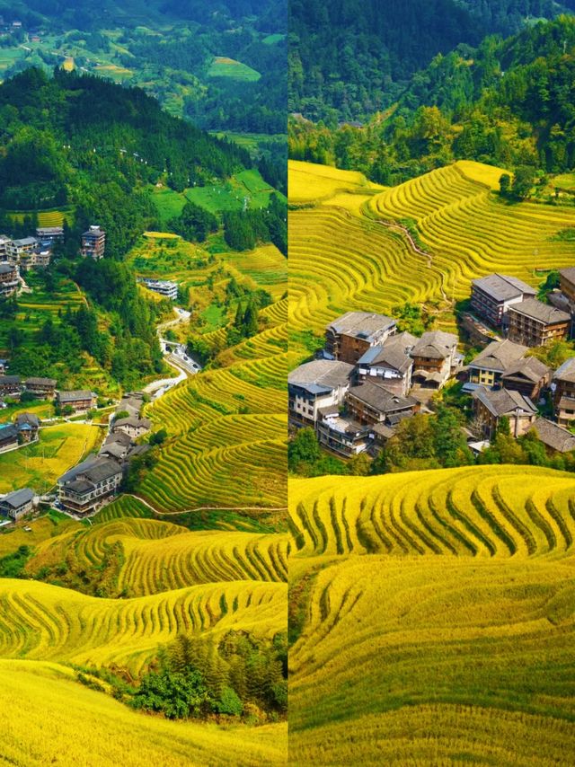 《探索龍脊梯田：四季變幻的絕美山水詩畫》