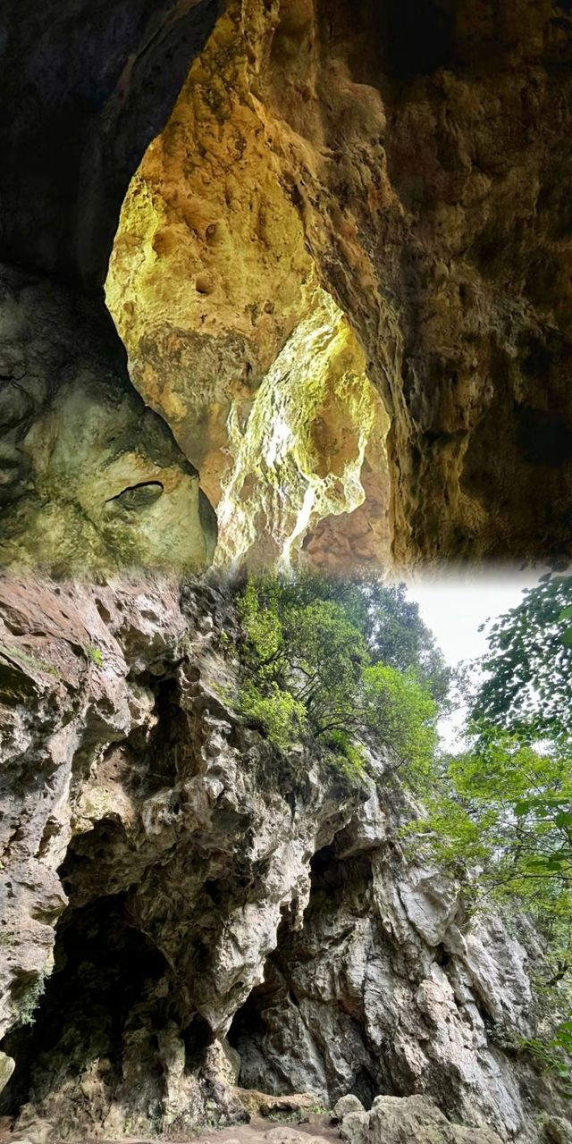 彭州石牛角「綠野仙蹤」奇幻之旅