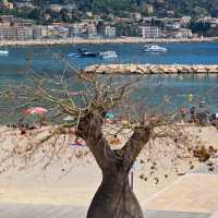 Monaco: The Jewel of the Mediterranean