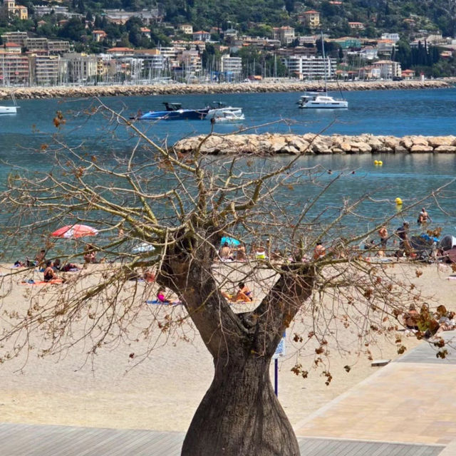 Monaco: The Jewel of the Mediterranean