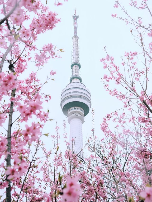 武漢三月