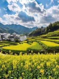 婺源油菜花 | 江嶺梯田，金色波浪嘅視覺盛宴‌