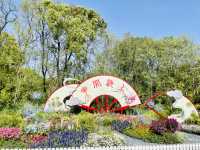 共青森林公園｜自然景觀＆休閒娛樂