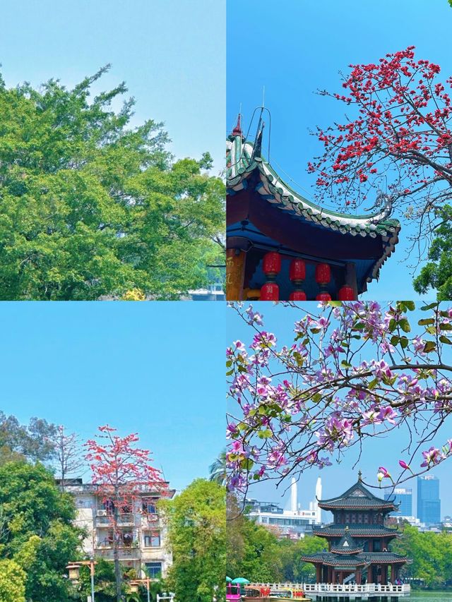 去了次惠州，整理出來的攻略
