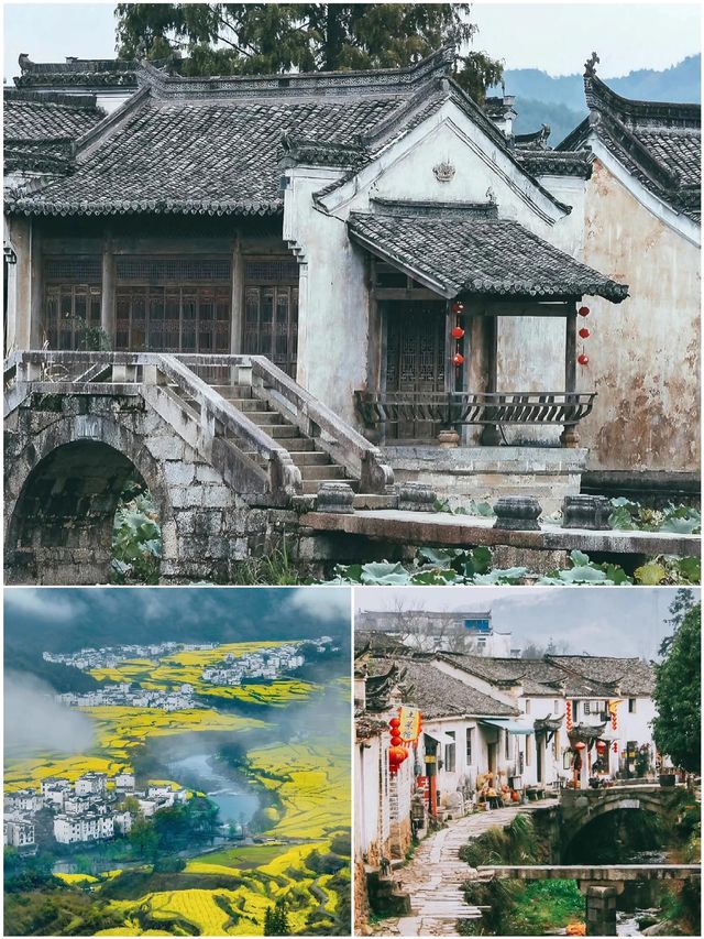 剛從宏村回來，不知當講不當講