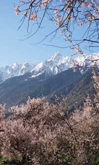 藏東南秘境～尼屋、邊壩