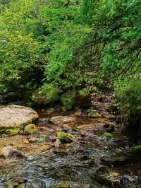 寧夏涇源縣旅遊攻略：探秘六盤山下的詩意秘境