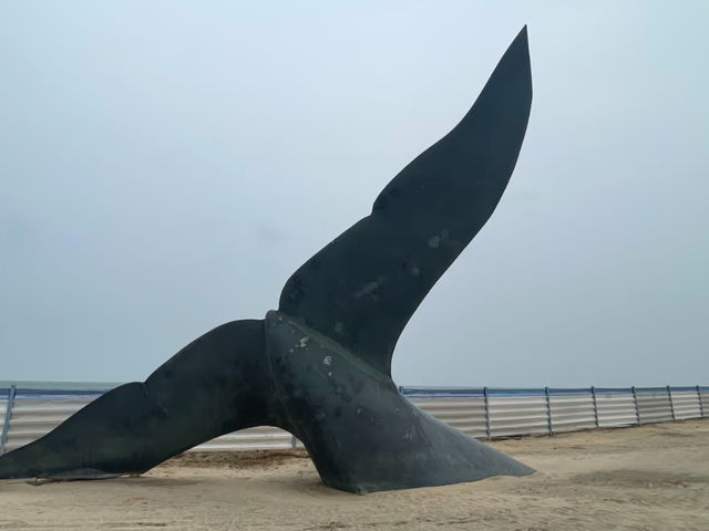 去了3次煙台金沙灘海濱公園，終於玩明白了。
