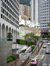 與寵同行！香港尼依格羅美利酒店，都市叢林中的毛孩天堂