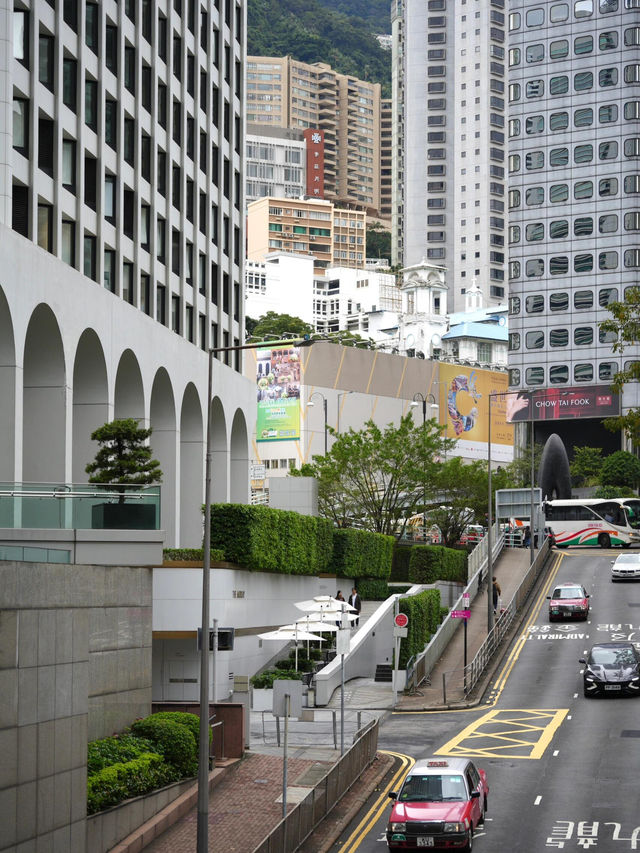與寵同行！香港尼依格羅美利酒店，都市叢林中的毛孩天堂