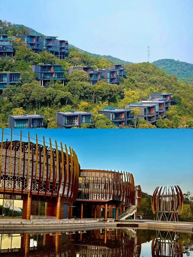 莫干山：竹海深處的隱逸之境