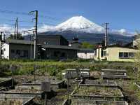 A Day with Fuji