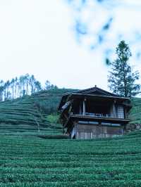 第一次去武夷山3天2晚嘅詳細旅行攻略